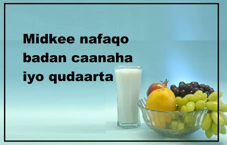 Midkee Nafaqo Badan Caanaha Xoolaha Iyo Qudaarta Daruur