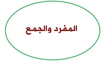 المفرد والجمع