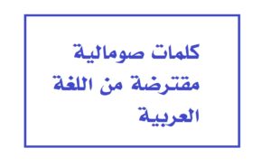 كلمات صومالية مقترضة من اللغة العربية