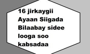 16 jirkaygii Ayaan Siigada Bilaabay sidee looga soo kabsadaa