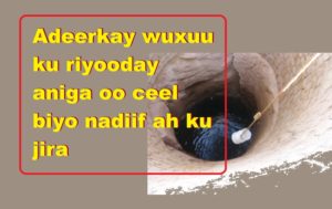 Adeerkay wuxuu ku riyooday aniga oo ceel biyo nadiif ah ku jira