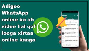 Adigoo WhatsApp online ka ah sidee hal qof looga xirtaa online kaaga