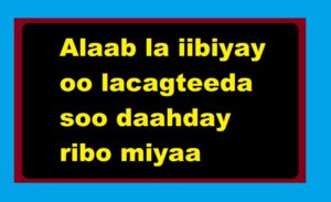 Alaab la iibiyay oo lacagteeda soo daahday ribo miyaa