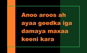 Anoo aroos ah ayaa geedka iga damaya maxaa keeni kara