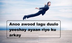 Anoo awood lagu duulo yeeshay ayaan riyo ku arkay