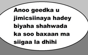 Anoo geedka u jimicsiinaya hadey biyaha shahwada ka soo baxaan ma siigaa la dhihi karaa?