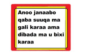 Anoo janaabo qaba suuqa ma gali karaa ama dibada ma u bixi karaa