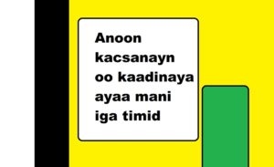 Anoon kacsanayn oo kaadinaya ayaa mani iga timid