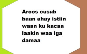 Aroos cusub baan ahay istiin waan ku kacaa laakin waa iga damaa