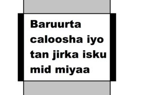 Baruurta caloosha iyo tan jirka isku mid miyaa