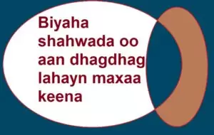 Biyaha shahwada oo aan dhagdhag lahayn maxaa keena