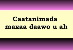 Caatanimada maxaa daawo u ah