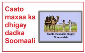 Caato maxaa ka dhigay dadka Soomaalida