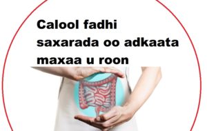 Calool fadhi saxarada oo adkaata maxaa u roon