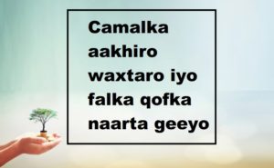 Camalka aakhiro waxtaro iyo falka qofka naarta geeyo