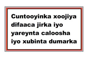 Cuntooyinka xoojiya difaaca jirka iyo yareynta caloosha iyo xubinta dumarka