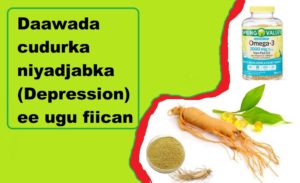 Daawada cudurka niyadjabka (Depression) ee ugu fiican