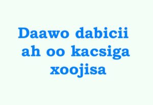 Daawo dabicii ah oo kacsiga xoojisa