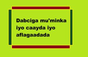 Dabciga mu'minka iyo caayda iyo aflagaadada