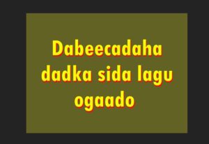 Dabeecadaha dadka sida lagu ogaado