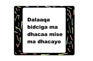 Dalaaqa bidciga ma dhacaa mise ma dhacayo