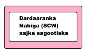 Dardaaranka Nabiga (SCW) xajka sagootiska