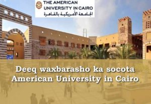 Deeq waxbarasho ka socota American University in Cairo 