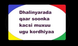 Dhalinyarada qaar soonka kacsi muxuu ugu kordhiyaa