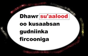 Dhawr su'aalood oo kusaabsan gudniinka fircooniga