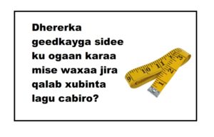 Dhererka geedkayga sidee ku ogaan karaa mise waxaa jira qalab xubinta lagu cabiro?