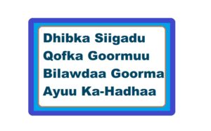 Dhibka Siigadu Qofka Goormuu Bilawdaa Goorma Ayuu Ka-Hadhaa