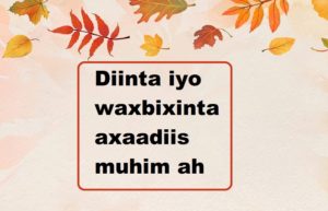 Diinta iyo waxbixinta axaadiis muhim ah