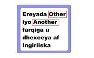 Ereyada Other iyo Another farqiga u dhexeeya af Ingiriiska