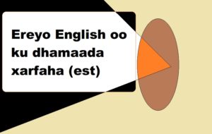 Ereyo English oo ku dhamaada xarfaha (est)