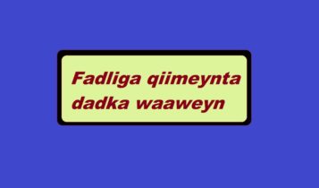 Fadliga qiimeynta dadka waaweyn