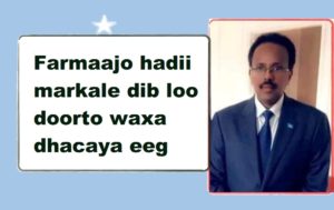 Farmaajo hadii markale dib loo doorto waxa dhacaya eeg