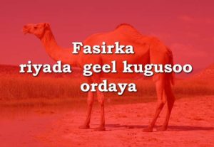 Fasirka riyada geel kugusoo ordaya