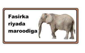 Fasirka riyada maroodiga