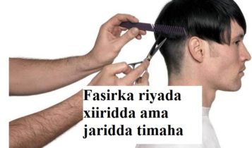 Fasirka riyada xiiridda ama jaridda timaha