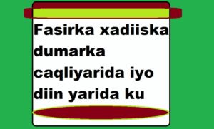 Fasirka xadiiska dumarka caqliyarida iyo diin yarida ku tilmaamay