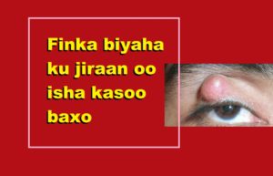 Finka biyaha ku jiraan oo isha kasoo baxo