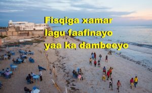 Fisqiga xamar lagu faafinayo yaa ka dambeeyo