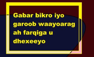 Gabar bikro iyo garoob waayoarag ah farqiga u dhexeeyo