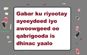 Gabar ku riyootay ayeeydeed iyo awoowgeed oo qabrigooda is dhinac yaalo