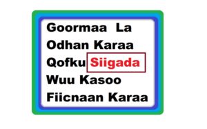 Goormaa La Odhan Karaa Qofku Siigada Wuu Kasoo Fiicnaan Karaa