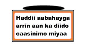 Haddii aabahayga arrin aan ka diido caasinimo miyaa