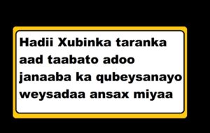 Hadii Xubinka taranka aad taabato adoo janaaba ka qubeysanayo weysadaa ansax miyaa