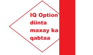 IQ Option diinta maxay ka qabtaa