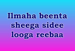 Ilmaha beenta sheega sidee looga reebaa