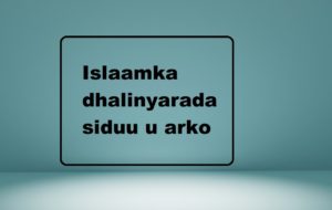 Islaamka dhalinyarada siduu u arko